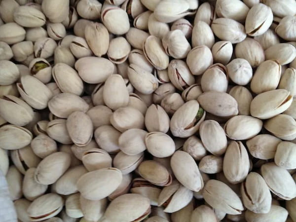 تصویر 3 از فروش پسته کله قوچی درشت + قیمت خرید به صرفه
